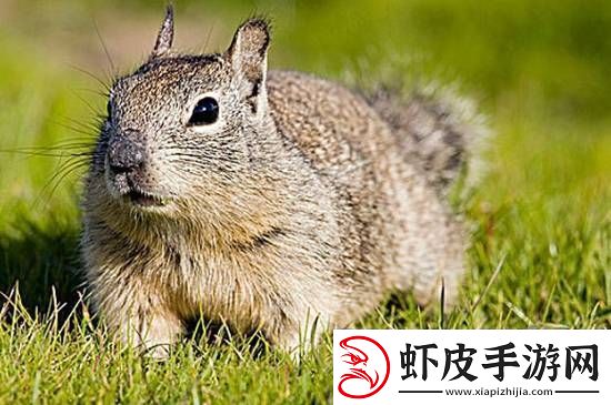 你敢信吗