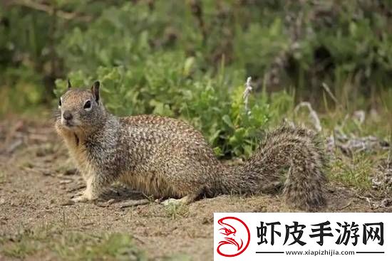 你敢信吗