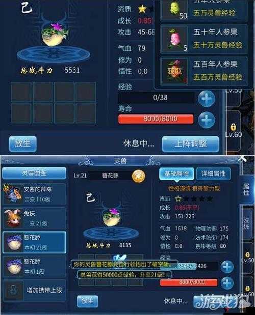 倩女幽魂手游灵兽怎么获得及属性详解