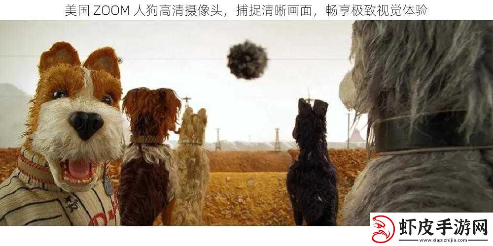 美国ZOOM人狗高清摄像头捕捉清晰画面畅享极致视觉体验
