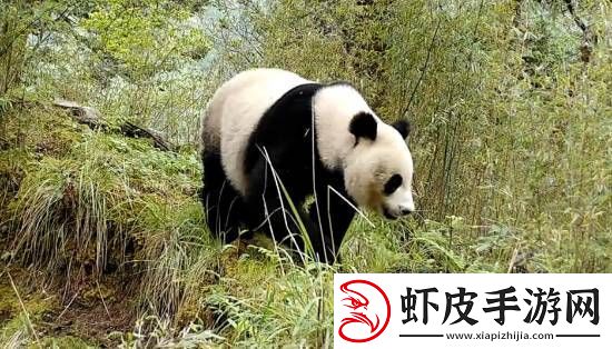 你敢信吗