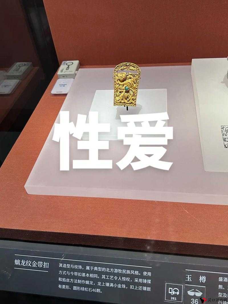 NATURAGLACE 性孕妇视频播放不卡:揭秘孕妇**背后的奥秘
