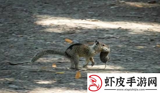 你敢信吗
