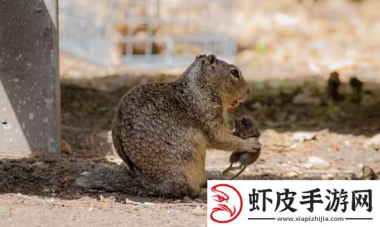 你敢信吗