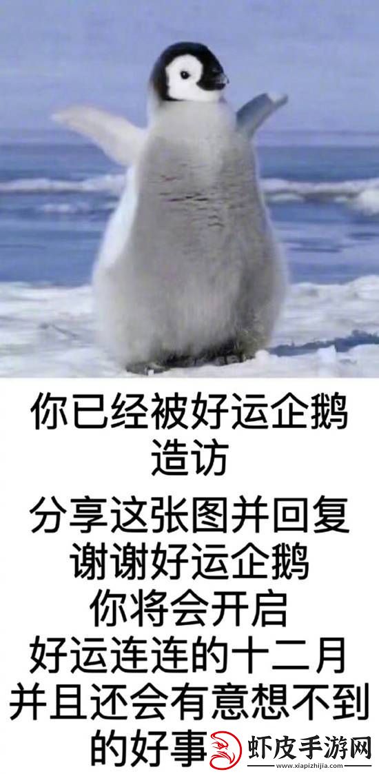 女同事都把腿放在桌子上
