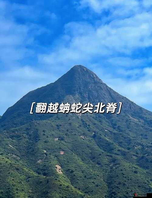 野外做受又硬又粗又大视频√:挑战自然的极限之旅