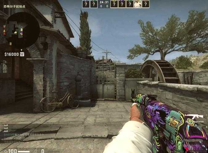 暴躁老阿姨CSGO ：带你领略热血枪战的独特魅力