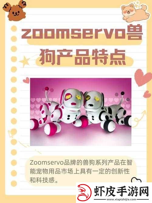 ZOOMSERVO