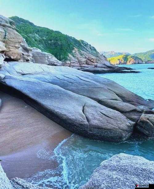 爱情岛论坛 AV :探索爱情的神秘岛屿