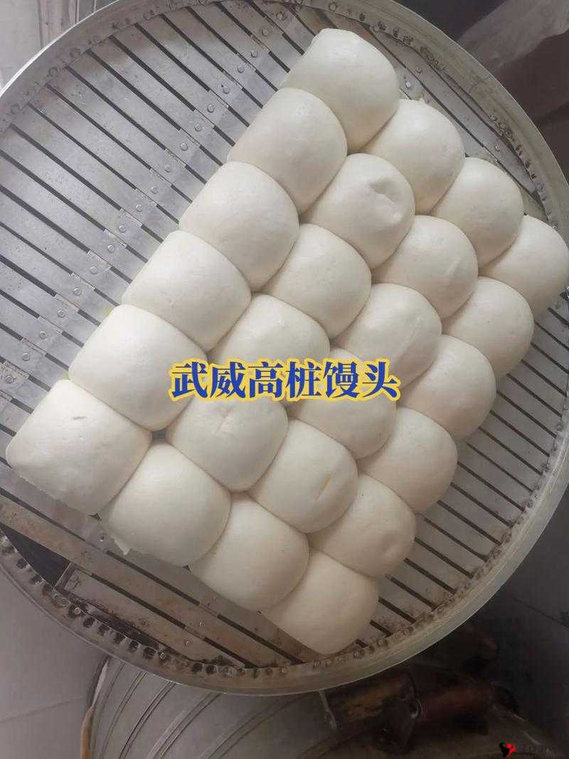 老板娘身上的馒头咱也吃的吗:关于这个问题的深入探讨与思考