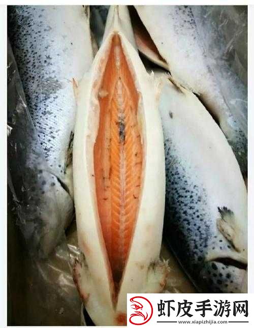 印度黄片