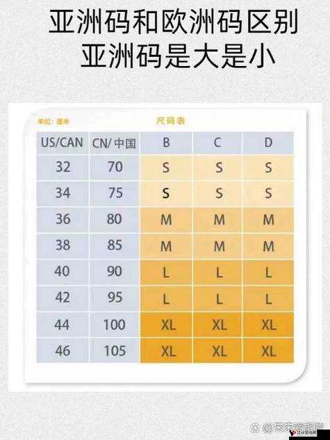 亚洲码与欧洲码的区别三叶草:差异之处全解析