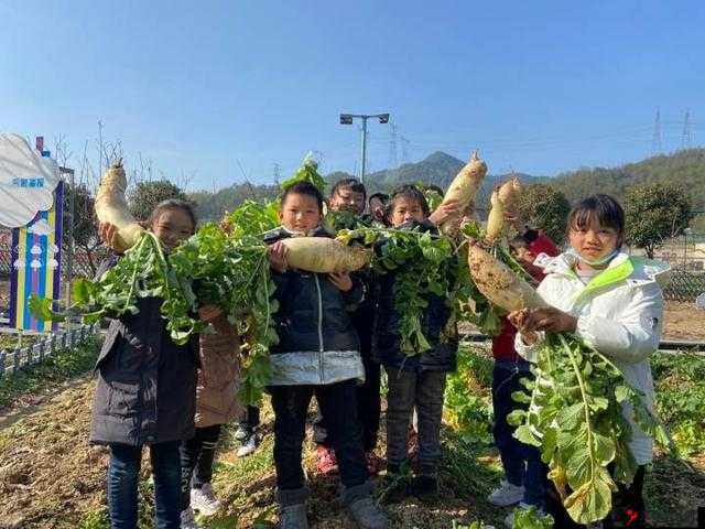 光腿拔萝卜:有趣的传统劳作方式与独特体验