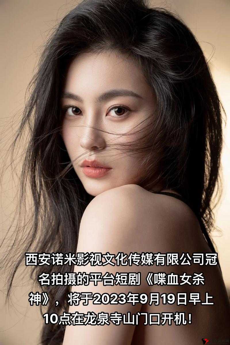 三年片大全免费观看国语 2023 年:畅享精彩影视大片