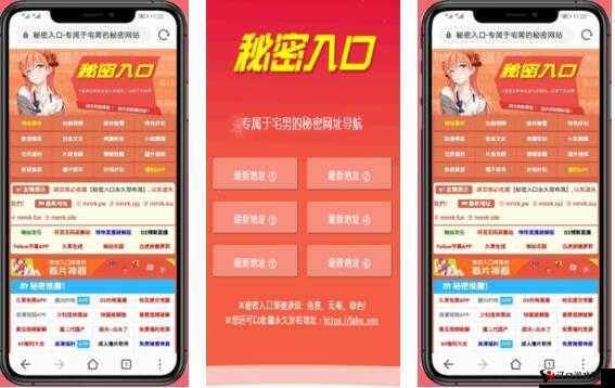 如何解除秘密入口专属宅基地:详细步骤与注意事项