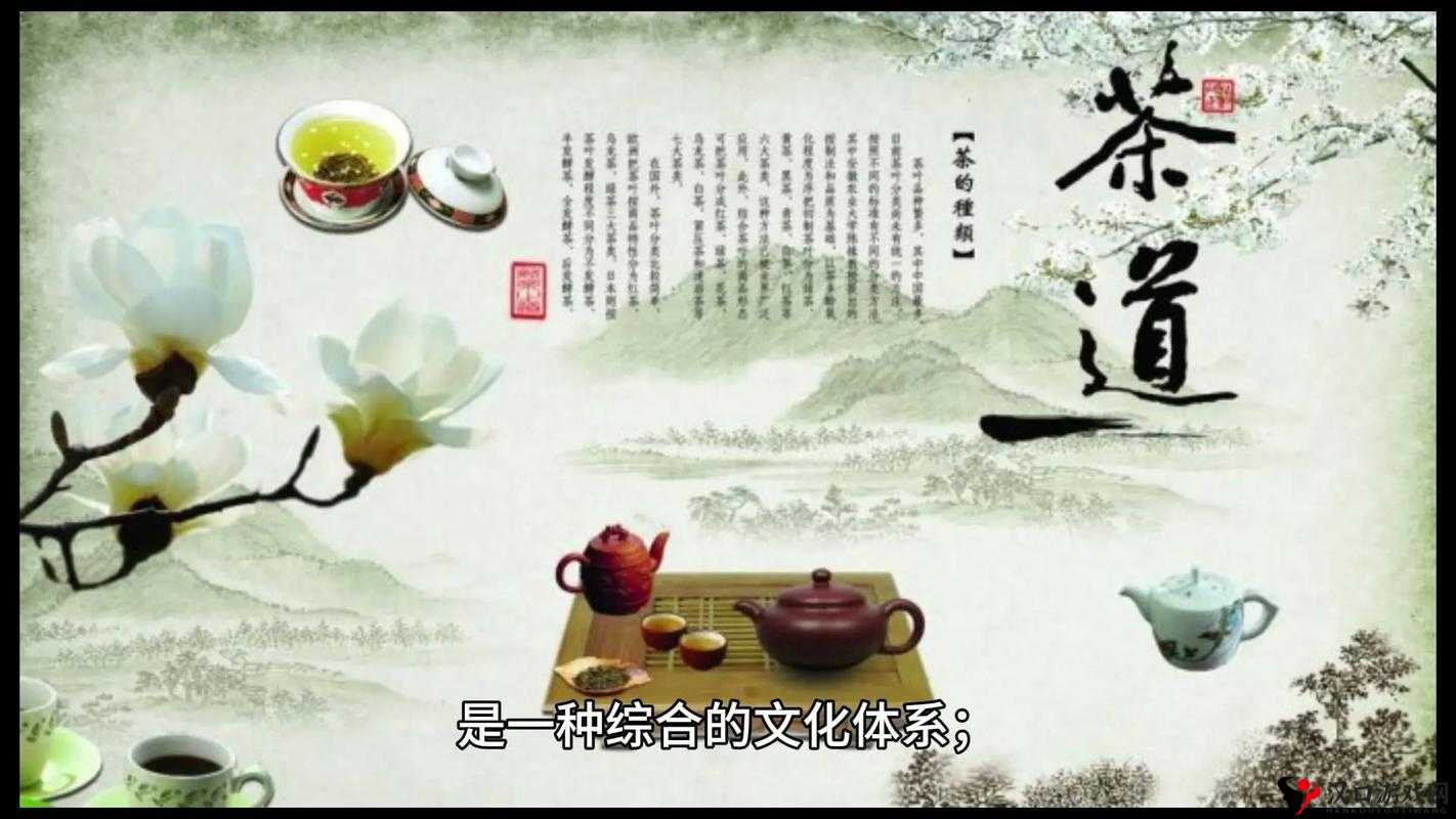 NANA_taipei 茶艺：探索传统与现代融合的独特魅力与艺术内涵