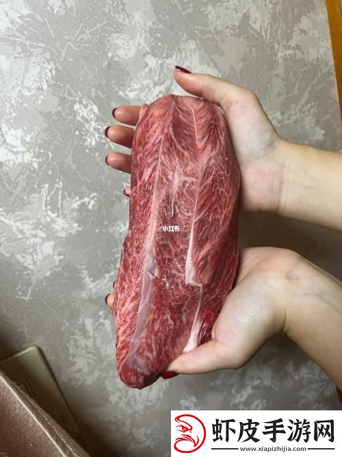 探索“大肉大捧一进一出的”的神秘魅力