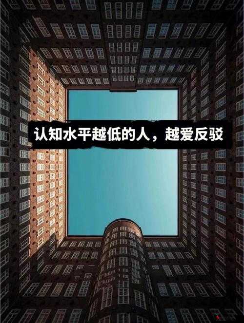 美国人 XXXX:一段跨越文化的旅程