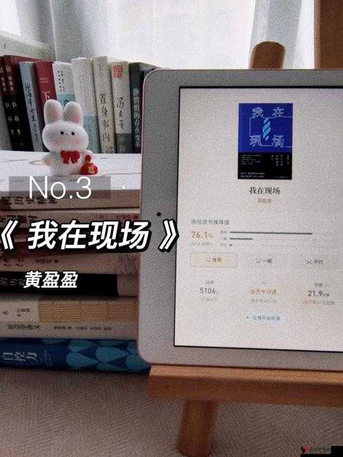 盈盈网的完整性值得我们深入探讨与关注