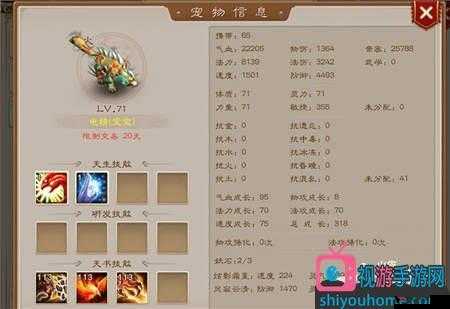 问道手游电精和火鸦哪个好,实力对比分析及其在游戏资源管理中的重要性