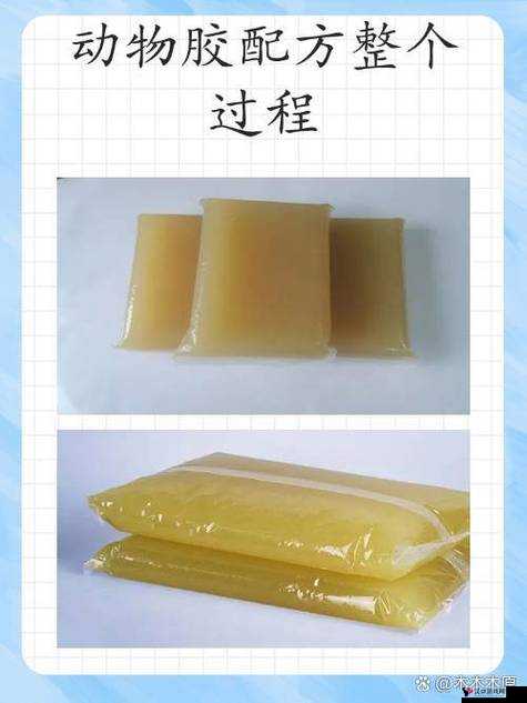 美国人与动物胶配方大全:涵盖多种用途及详细制作步骤