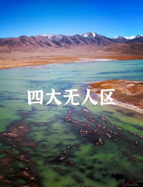 亚洲无人区编码国产激情:探索未知领域的激情之旅