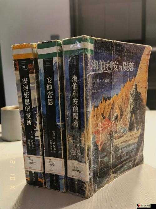以 ZZZZXXXⅩ0000 亚洲为中心展开的宏大探索与发展之路