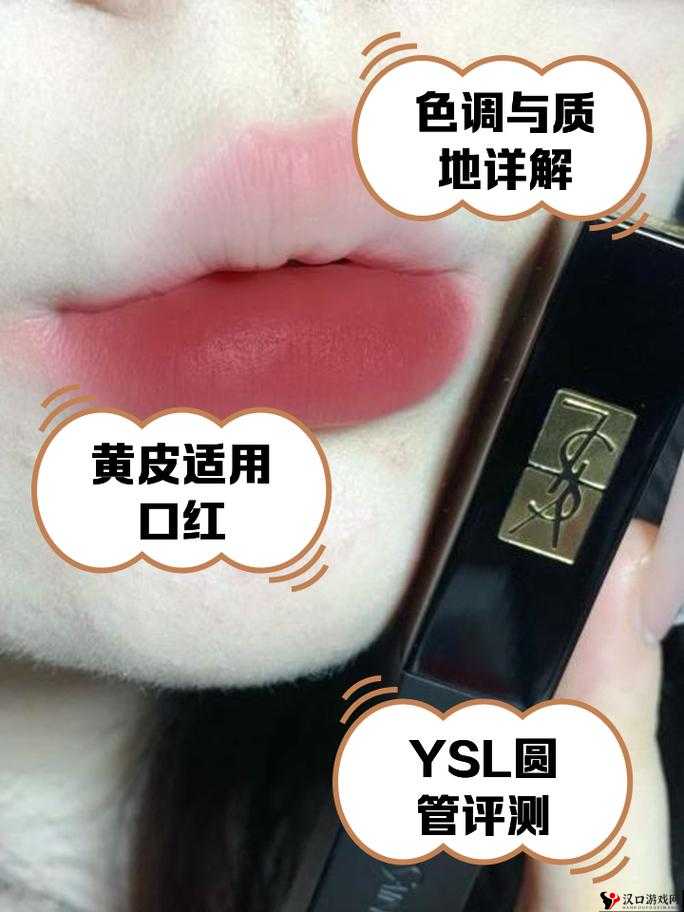 YSL 蜜桃棕调色与美妆:打造专属魅力妆容的秘密武器