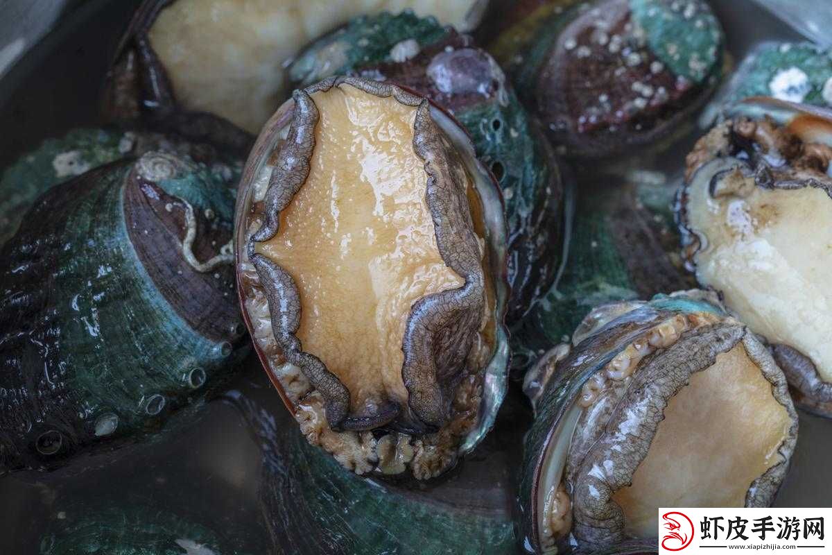 阿娇鲍鱼
