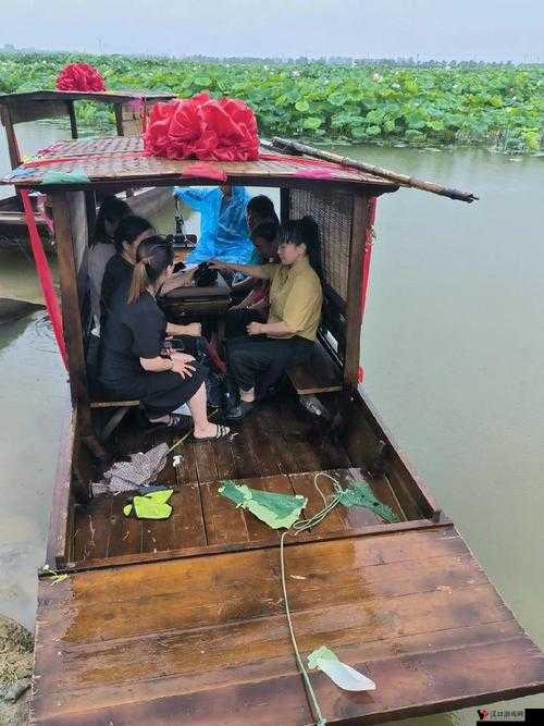 老人船上弄雨荷最后生了几个孩子：探寻背后不为人知的秘密