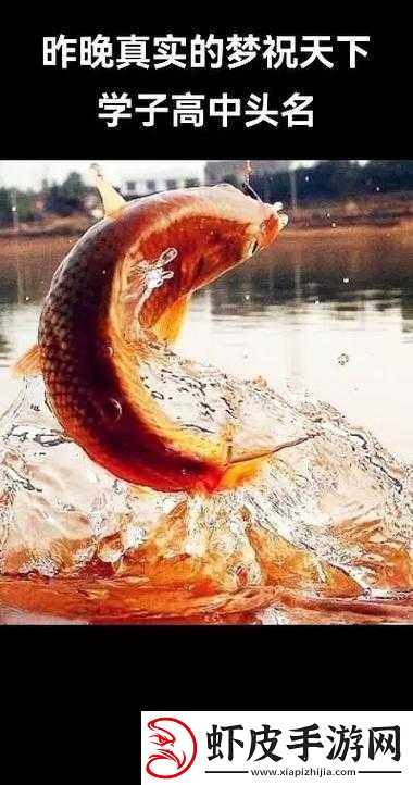 鲤鱼喝水姿势
