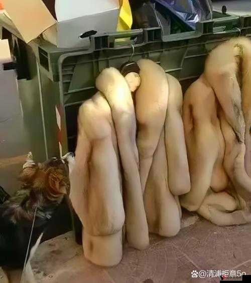 人物与动物交互在钱里叫什么:探寻这种奇特现象背后的真相