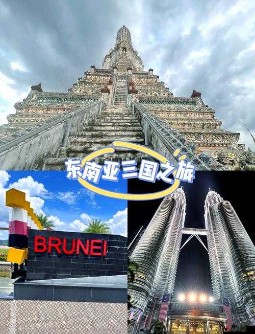 仙踪林 2024:探索未来的奇幻之旅