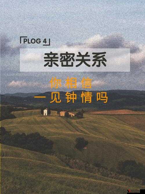 91 妻友：探索亲密关系的独特视角与交流平台
