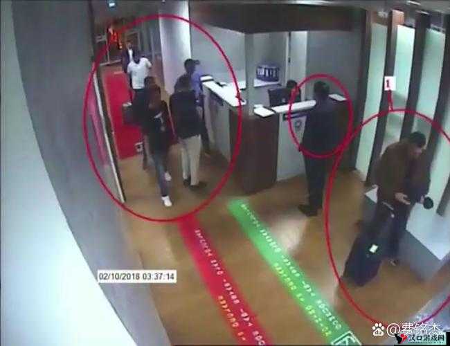 **他人在沟厕内的行为引发社会广泛关注与谴责