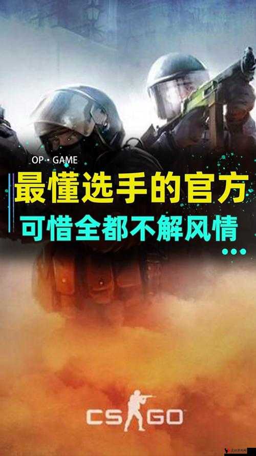 俄罗斯卖 csgo 的网站免费进入:带你探索神秘游戏交易世界