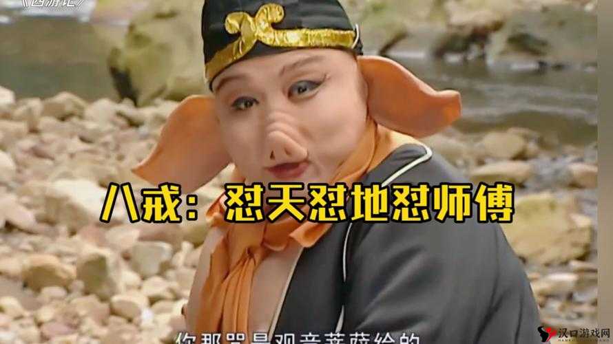 八戒八戒免费观看电视剧大全在线观看,畅享海量精彩剧集