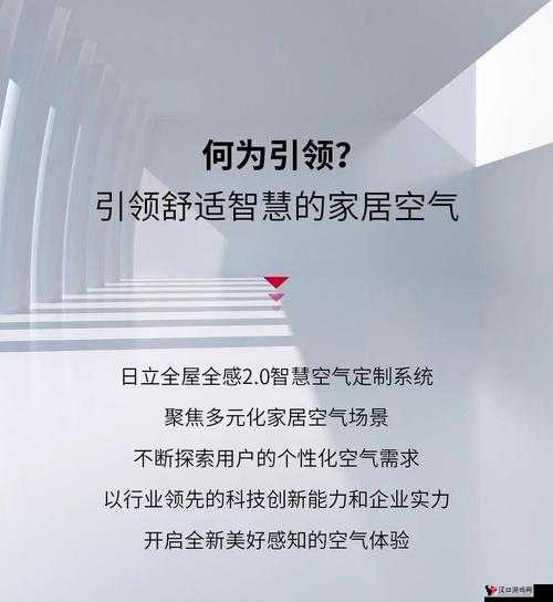 ZOOM 另一类 ZZO03 :探索其独特功能与创新应用场景