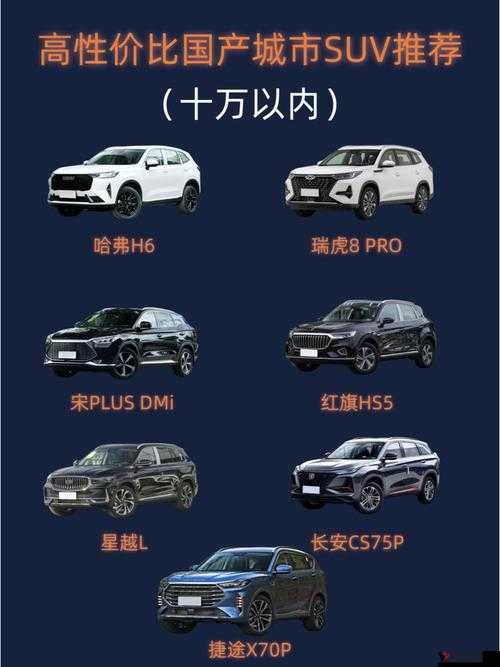国产又大又便宜的 SUV:为何深受消费者青睐且市场潜力巨大