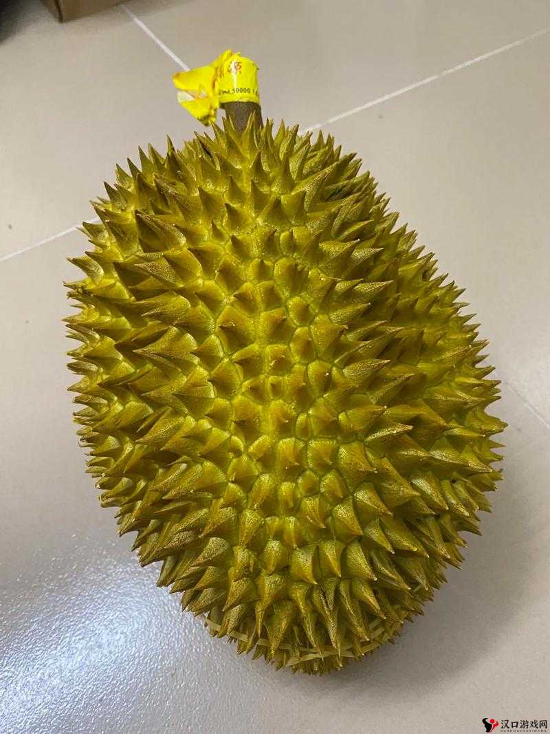 榴莲视频色斑:让人无法抗拒的独特魅力,让你流连忘返