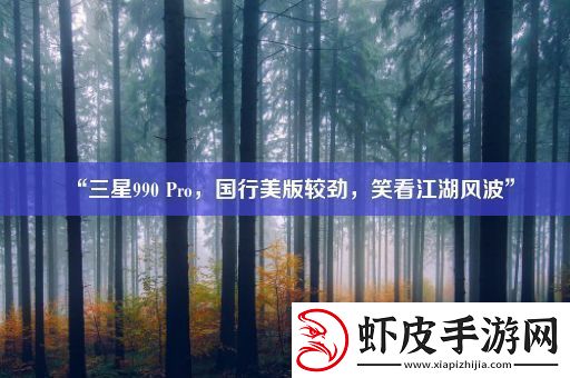 “三星990Pro国行美版较劲笑看江湖风波”