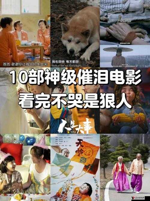 最好看的 2018 年中文字幕电影:那些触动人心的故事