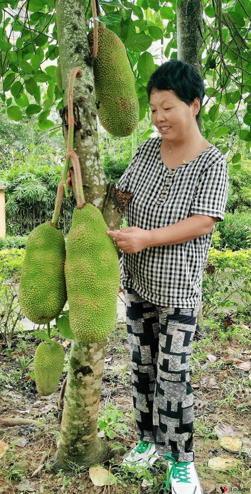 菠萝蜜视频在线观看国际:提供丰富多样视频内容的平台