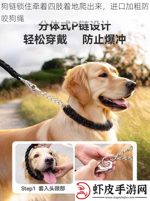 狗链锁住牵着四肢着地爬出来