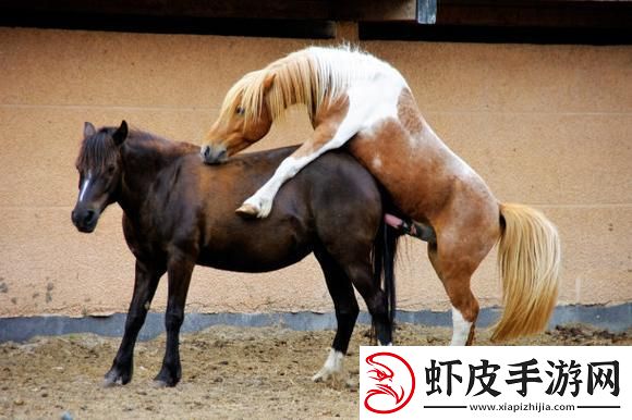 突破极限