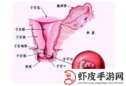 “下面”神秘肿痛