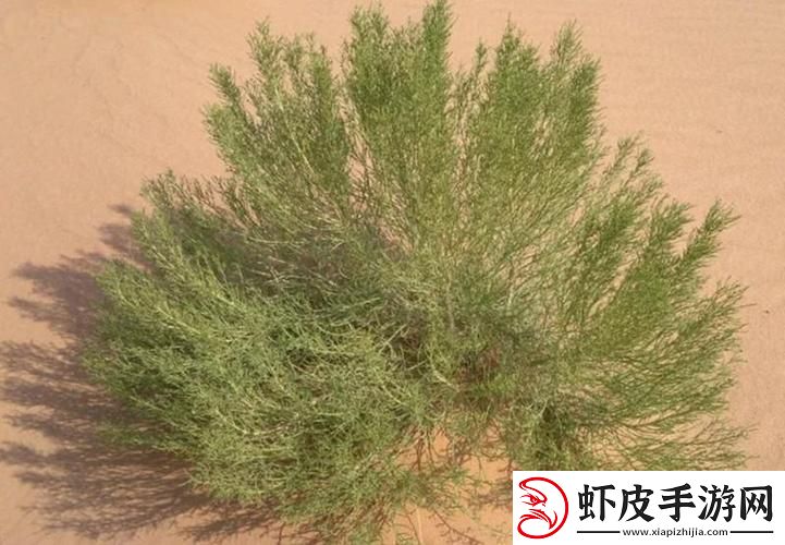 “蜗居”中的智慧