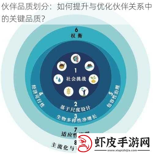 伙伴品质划分
