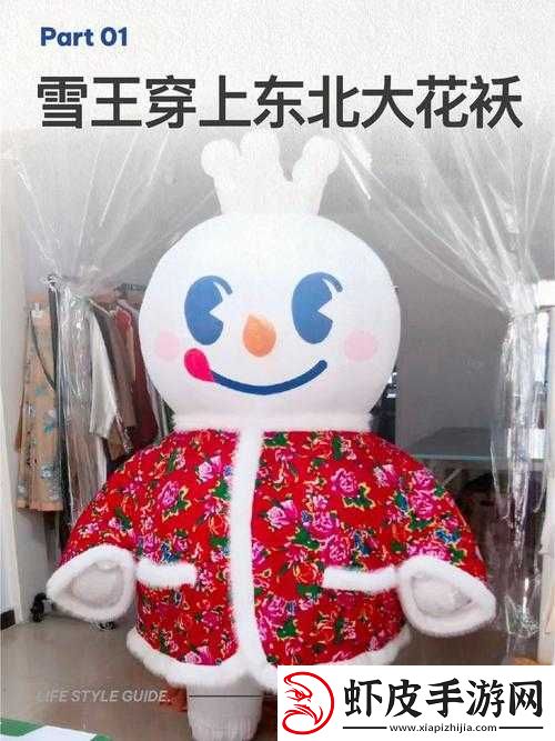 东北那极具特色且颇具争议的东北骚妇相关话题探讨