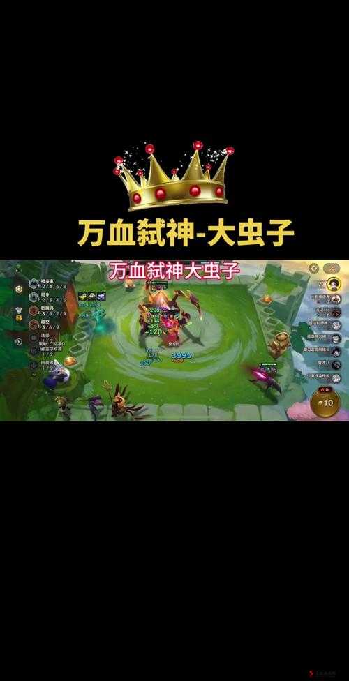 虫虫大作战大虫如何安全走位与大虫保命攻略